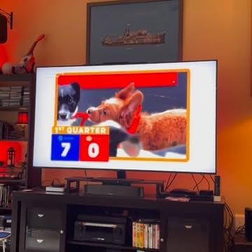 Instagram post: Puppy Bowl anyone?